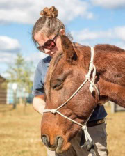 Dr. Cathleen Lombardi standing in a sunny outdoor setting while gently examining a relaxed brown horse wearing a rope halter.