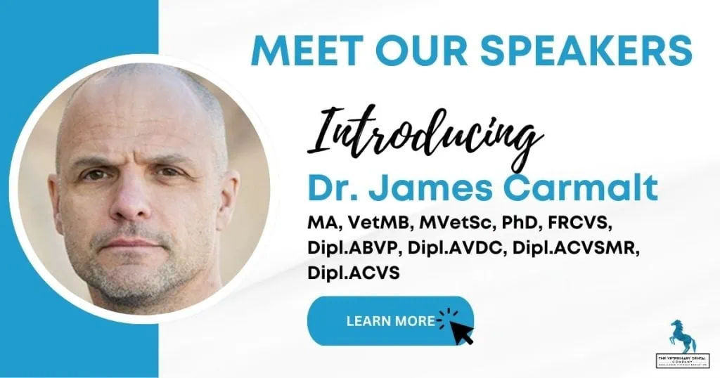 Dr James Carmalt veterinarian