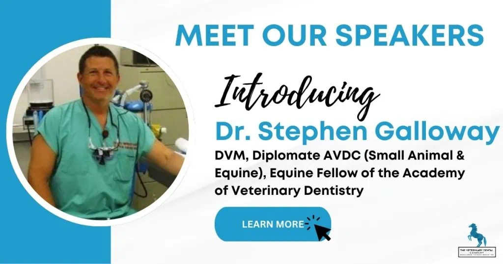 Dr Stephen Galloway veterinarian
