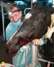 Veterinarian Dr. Oliver Liyou wearing surgical scrubs and a headlamp, standing beside a sedated horse with facial sutures in a veterinary surgical facility.