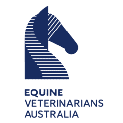 Equine Veterinarians Australia logo with stylized horse head in blue and white stripes