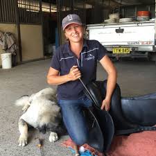 Female veterinarian Paula Jeffrey kneeling beside a white horse’s leg, holding a hoof boot in a stable with a utility vehicle in the background.