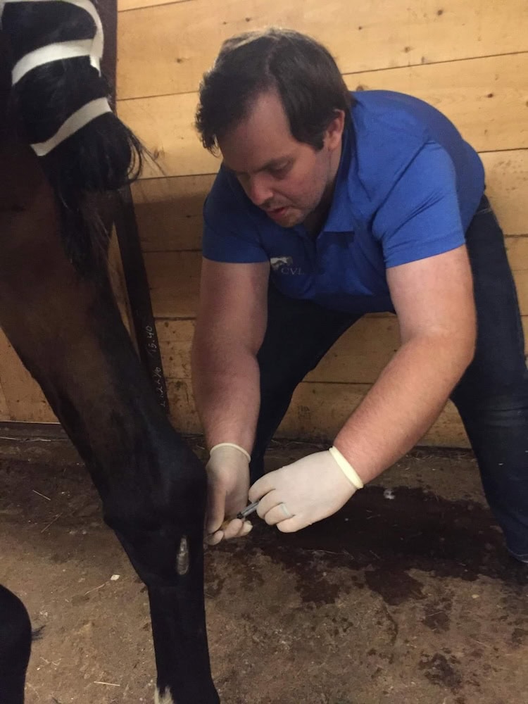 Valley Equine Clinic Chris White DVM