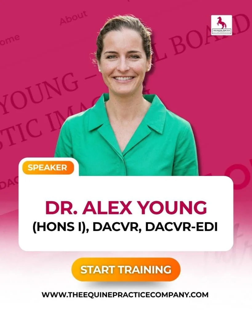 Dr. alex young image - equine veterinarian - horse medicine vet - dvm
