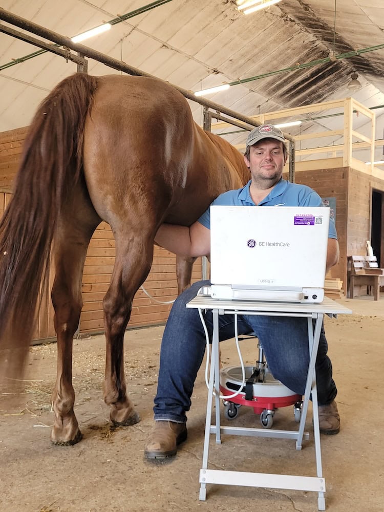 dr chris white equine veterinarian