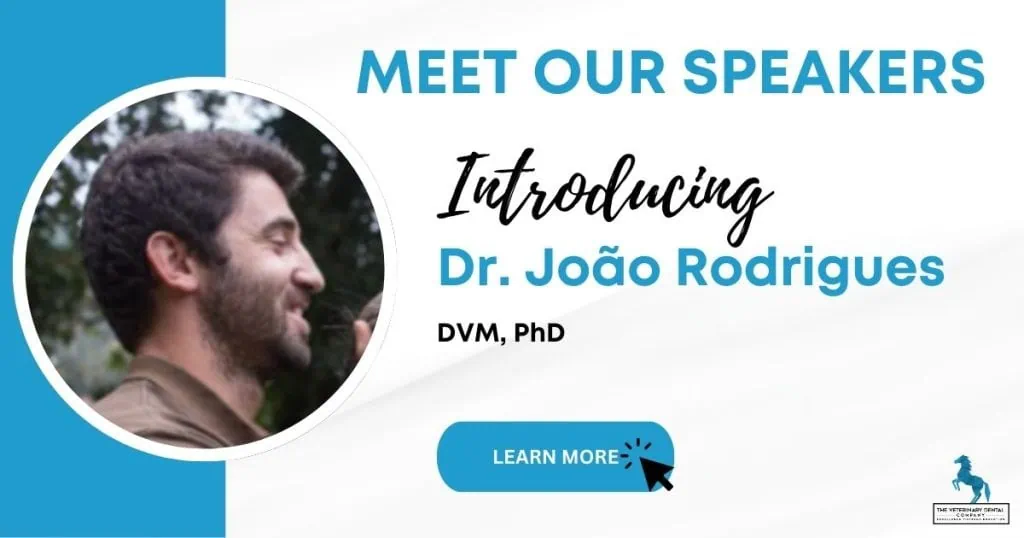 dr joao rodrigues veterinarian
