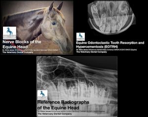 Veterinary dental course previews including a horse portrait, dental radiographs, and educational topics on equine head anatomy and EOTRH