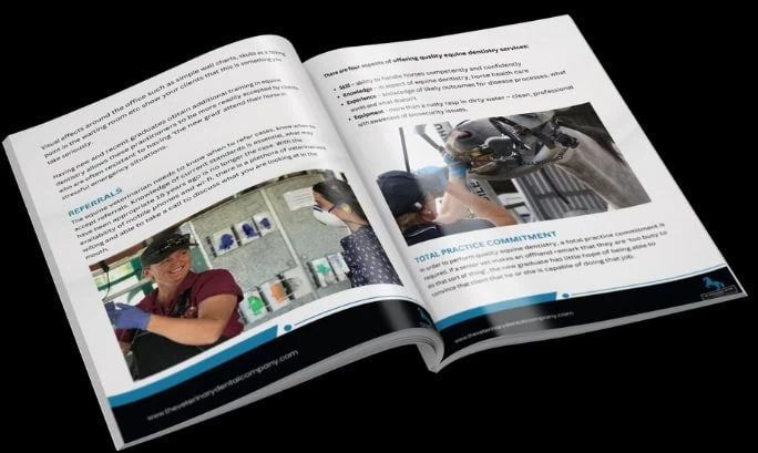 12 Proven Marketing Strategies for Veterinary Equine Dentistry Playbook