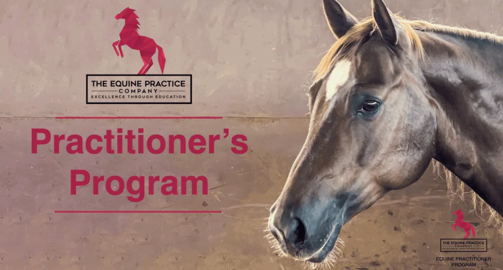 ad advert for the equine practitioners program