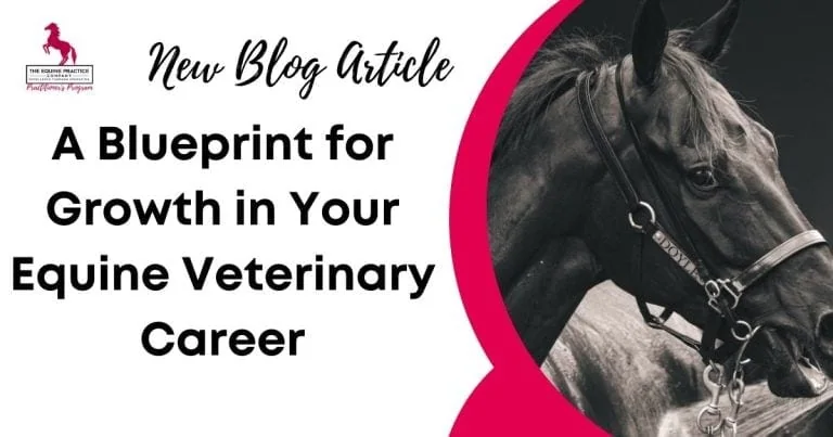 Promotional banner for blog article titled "A Blueprint for Growth in Your Equine Veterinary Career" featuring a black horse wearing a bridle.