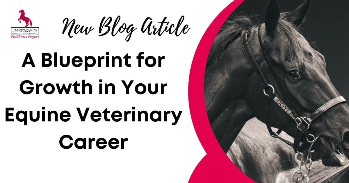 Promotional banner for blog article titled "A Blueprint for Growth in Your Equine Veterinary Career" featuring a black horse wearing a bridle.