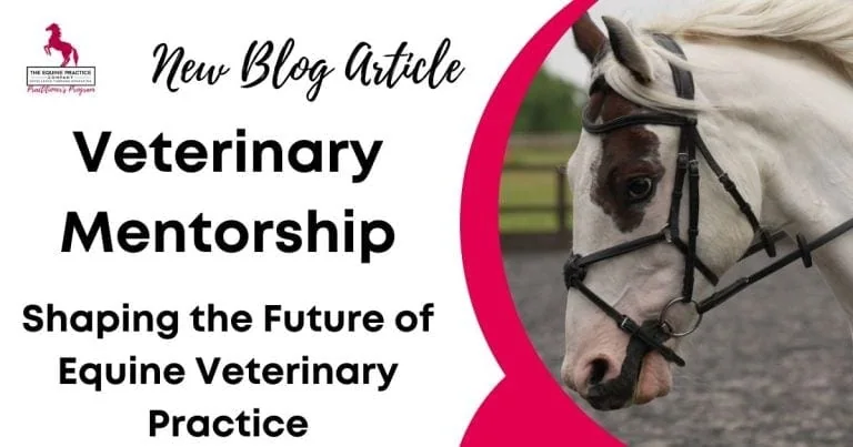 Blog article banner featuring a white and brown horse in a bridle promoting veterinary mentorship in equine practice.