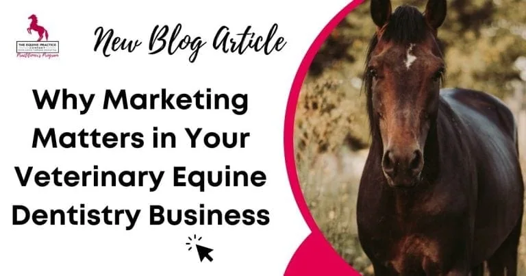 Veterinary equine dentistry marketing blog banner featuring a dark horse and promotional blog title