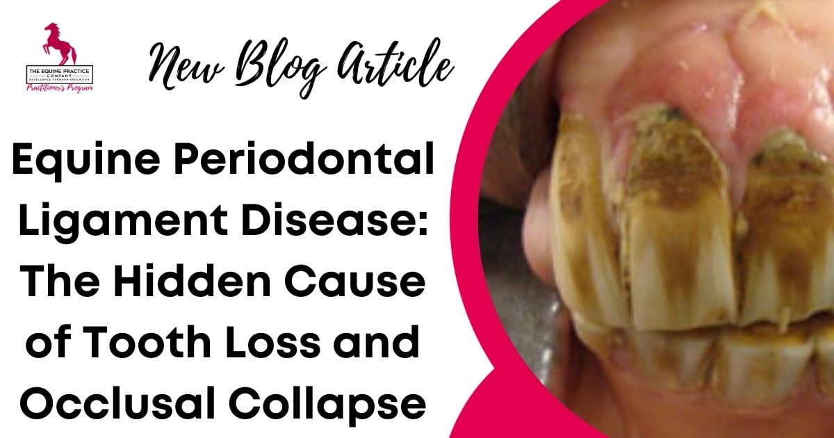 Close-up of decayed horse teeth showing signs of periodontal ligament disease with blog title.