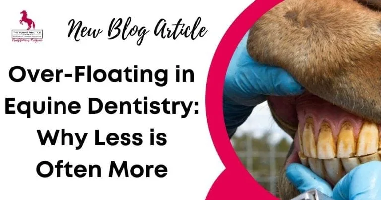 Equine dentistry blog image showing a veterinarian examining a horse's teeth with the title "Over-Floating in Equine Dentistry: Why Less is Often More"