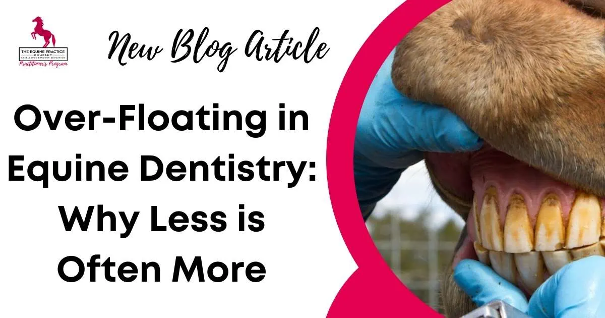 Equine dentistry blog image showing a veterinarian examining a horse's teeth with the title "Over-Floating in Equine Dentistry: Why Less is Often More"