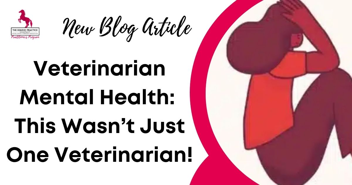Blog header image showing a distressed illustrated figure beside the title “Veterinarian Mental Health: This Wasn’t Just One Veterinarian!”