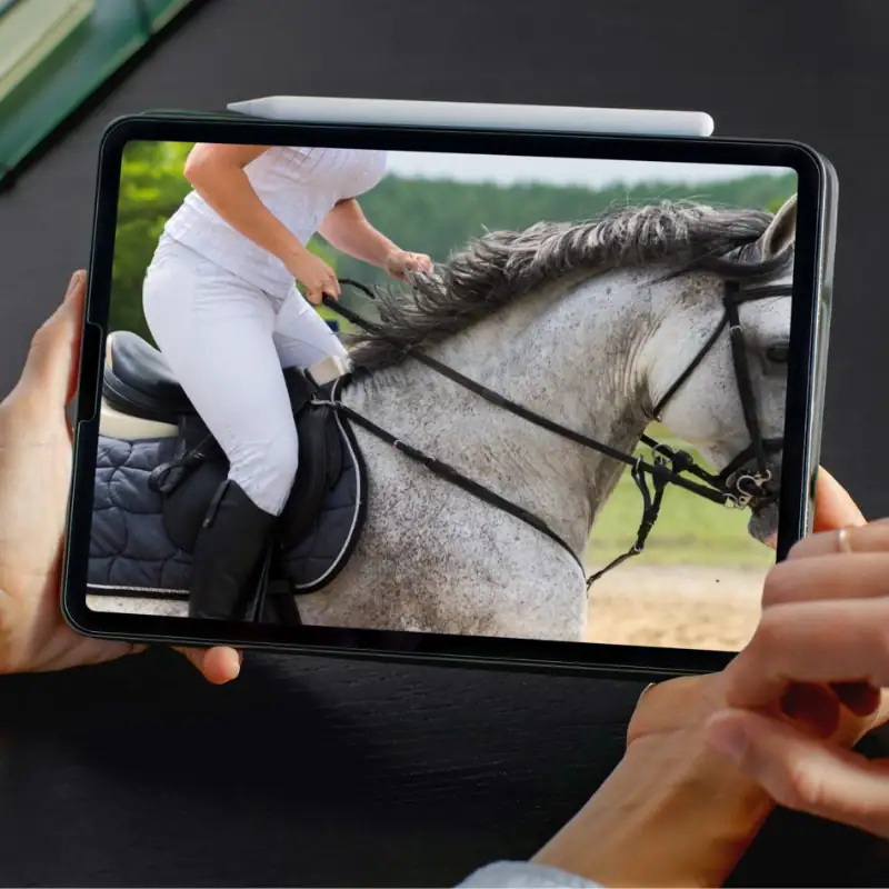 Close-up of a rider in white breeches on a grey horse viewed on a tablet screen during a dressage or riding session.