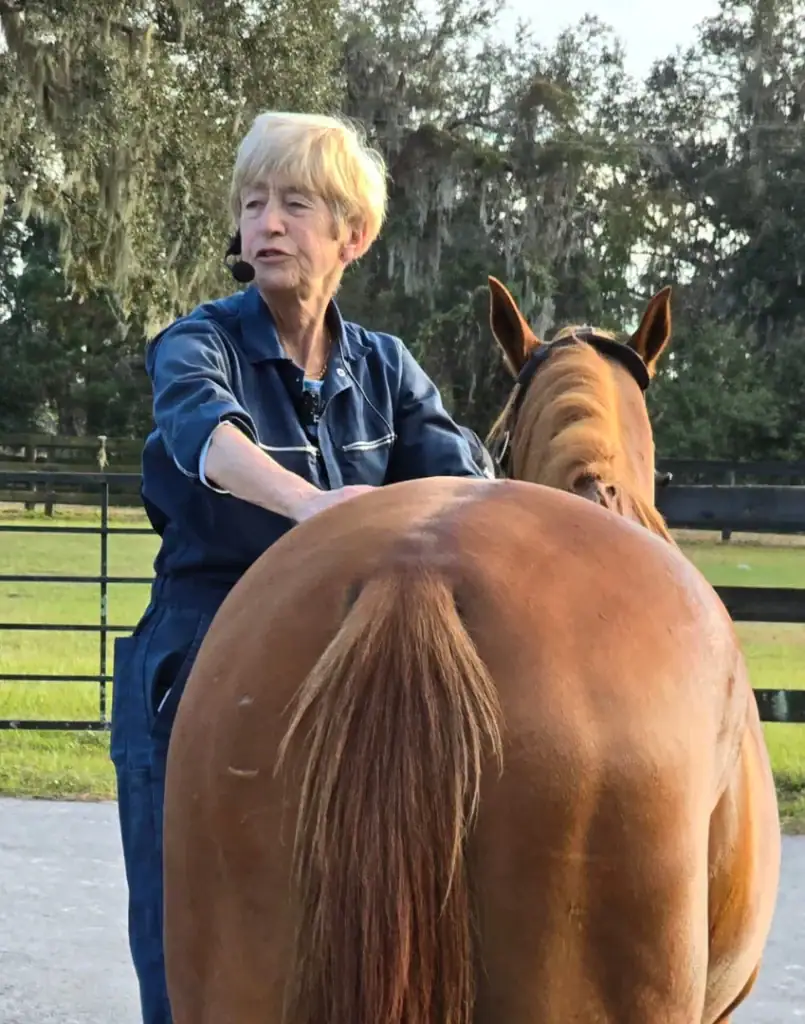 Sue Dyson palpating the back of a chestnut horse during an outdoor lameness evaluation.
