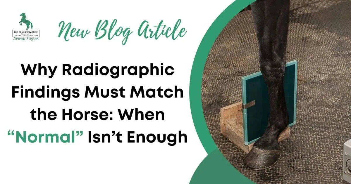 Horse’s lower leg positioned for a radiograph with green imaging plate and promotional text about matching radiographic findings to clinical presentation.