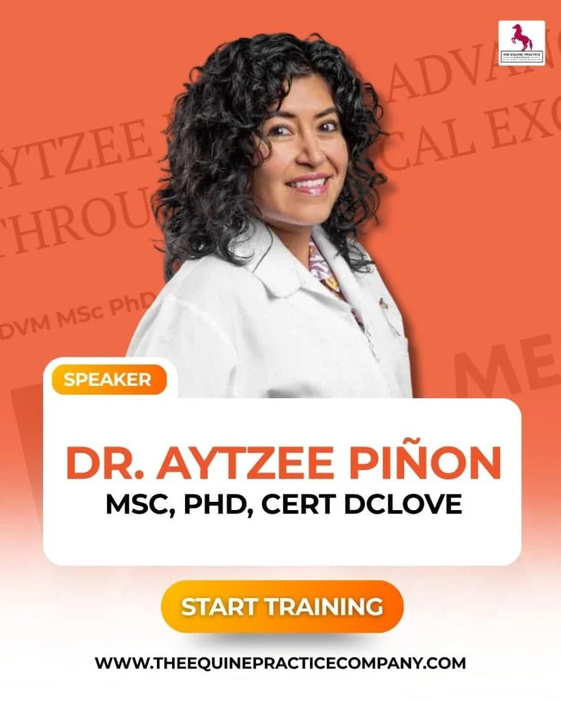 Dr. Aytzee Piñon-Cabrera, image - equine veterinarian - ophthalmology specialist