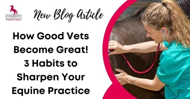 Female equine veterinarian using a stethoscope to examine a horse with overlay text promoting a blog article on veterinary habits.