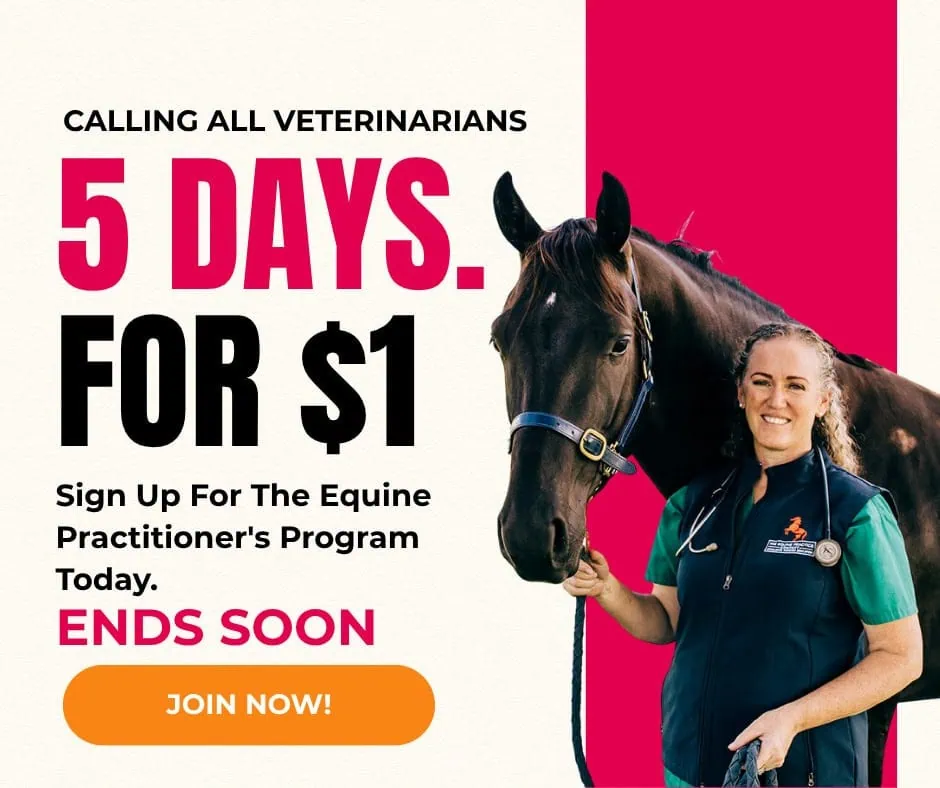 Veterinarian with a black horse promoting a $1 trial for The Equine Practitioner’s Program with bold text and a call-to-action button.