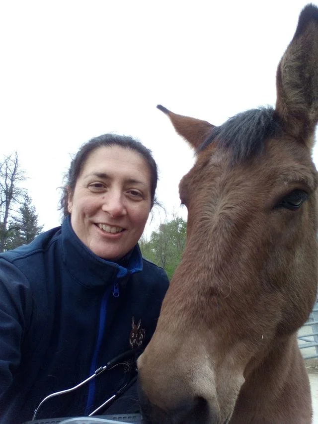 Dr-Marta-Ferrari-Vet