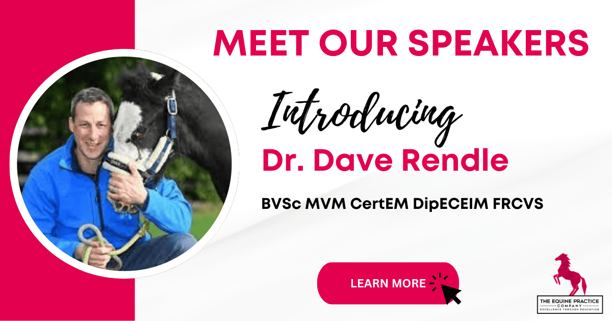 Davene Rundle David Rendle - A Leading Voice in Equine Internal Medicine - A Leading ...