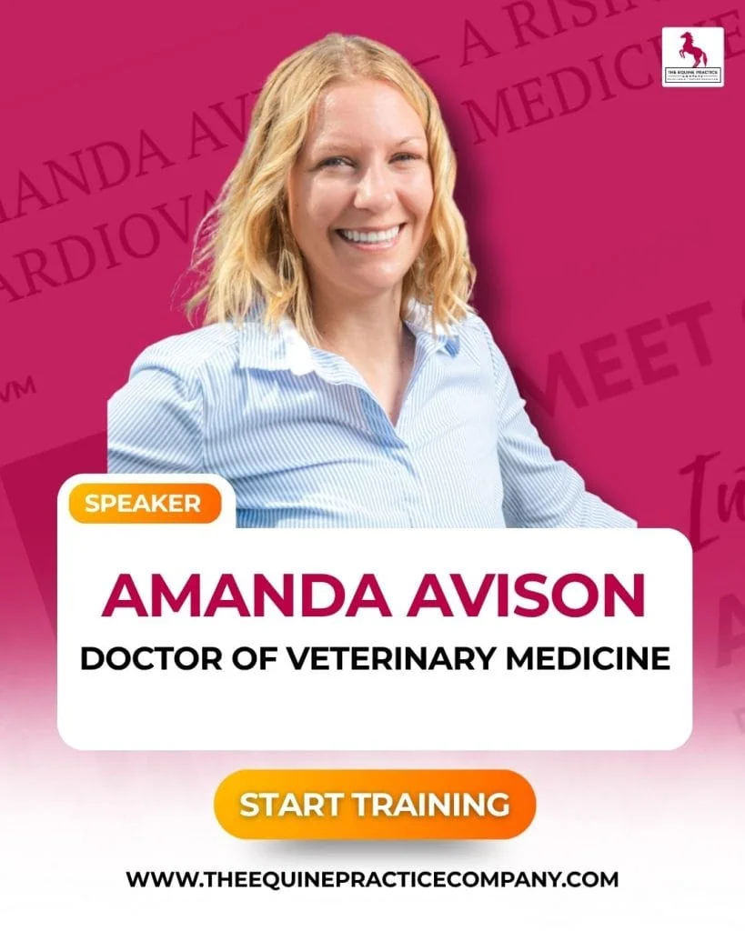 dr. amanda avison image - equine vet - veterinarian - horse medicine