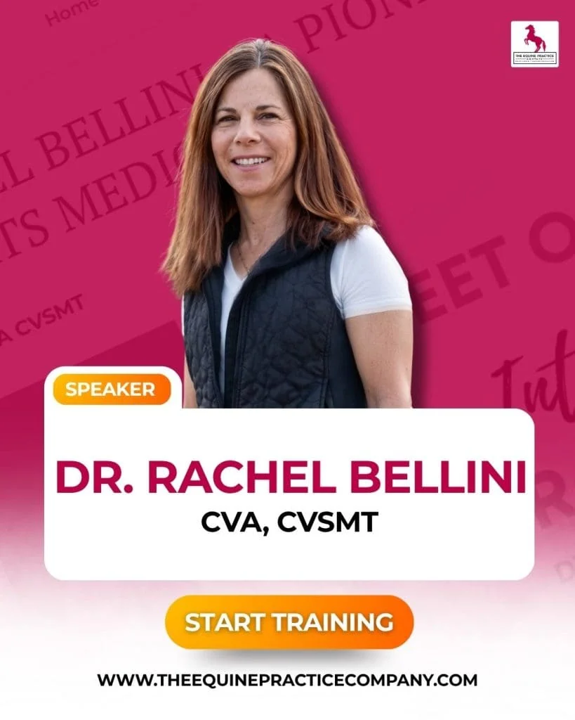 photo of dr. rachel bellini - equine medicine - dvm - veterinarian