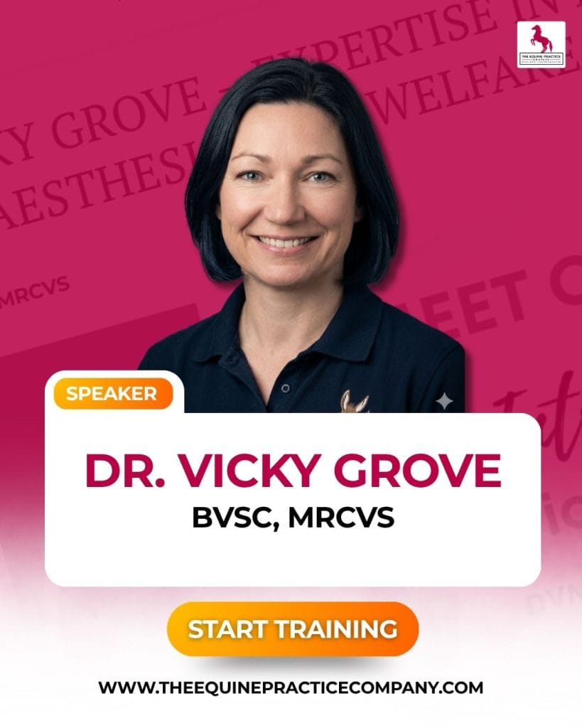 photo dr. vicky grove - equine veterinarian - dvm - horse medicine