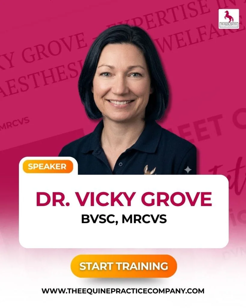 photo dr. vicky grove - equine veterinarian - dvm - horse medicine