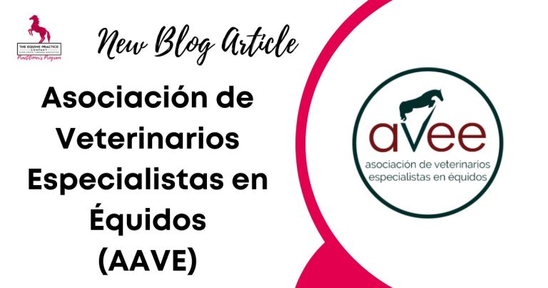 Asociación de Veterinarios Especialistas en Équidos