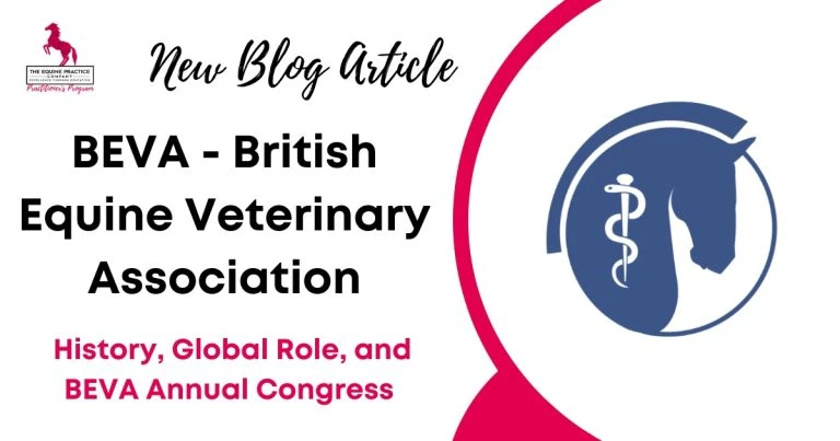 BEVA - British Equine Veterinary Association
