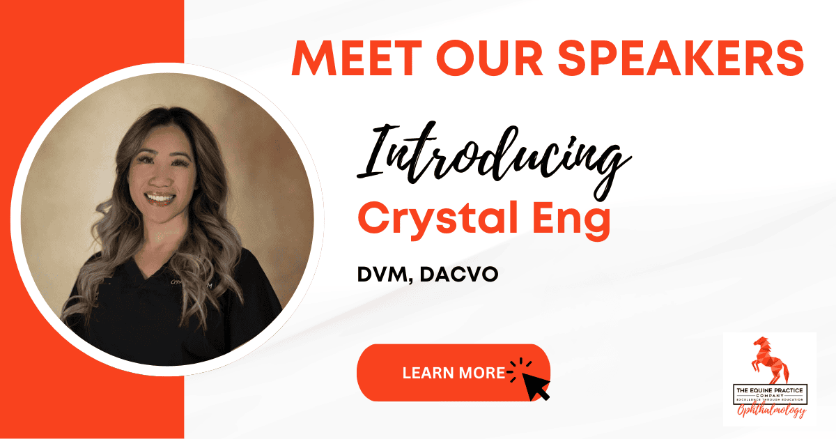 Crystal Eng - The Equine Practice Company