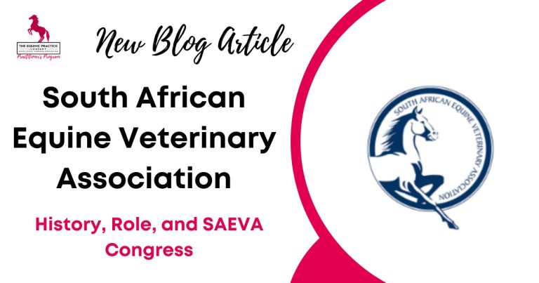 South African Equine Veterinary Association