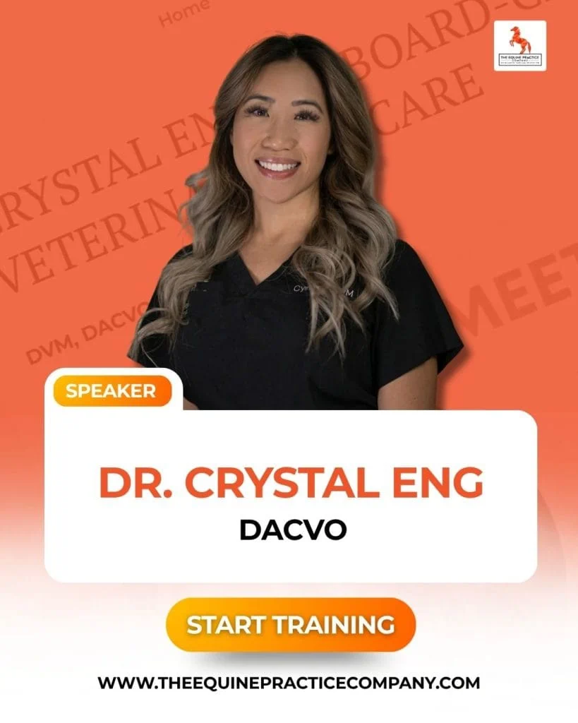 photo of Dr. Crystal Eng - equine ophthalmology veterinarian - horse vet - dvm