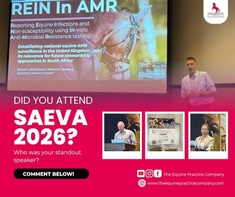 saeva 2026 