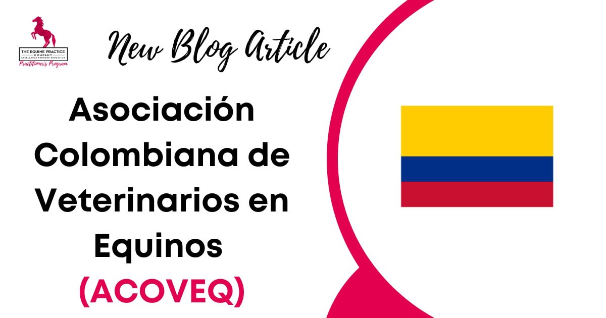Asociación Colombiana de Veterinarios en Equinos (ACOVEQ)