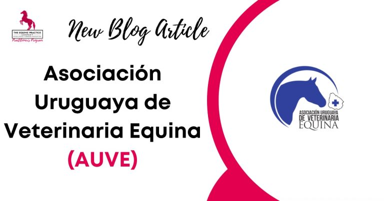 Asociación Uruguaya de Veterinaria Equina (AUVE)