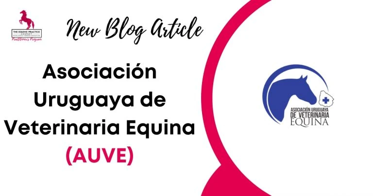 Asociación Uruguaya de Veterinaria Equina (AUVE)