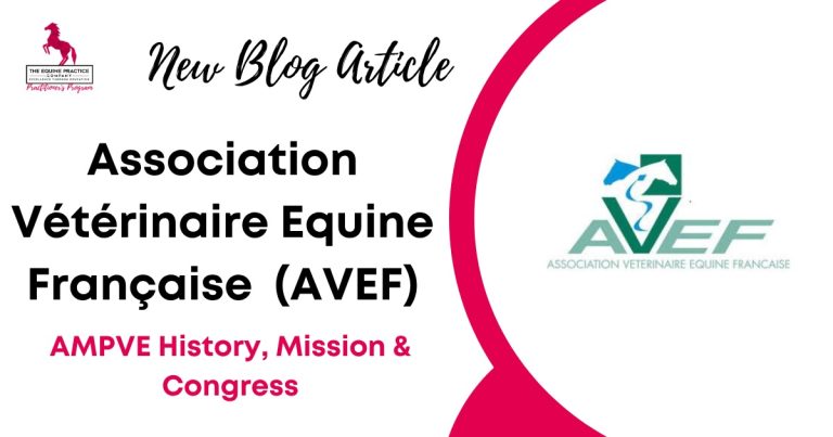 Association Vétérinaire Équine Française