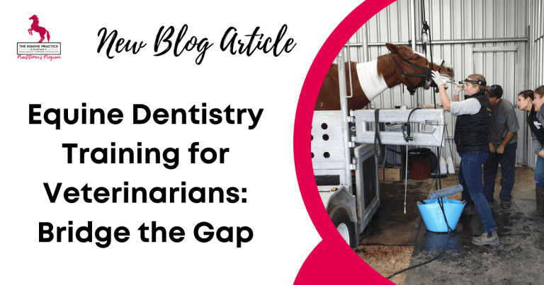 Equine Dentistry Training for Veterinarians: