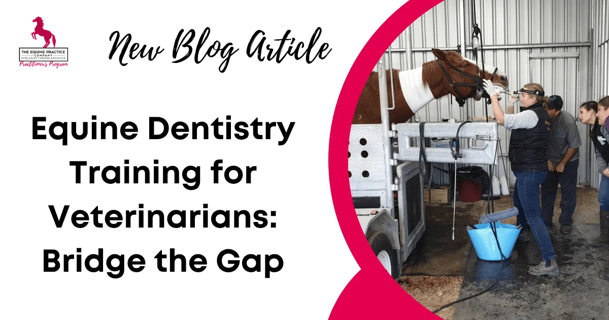 Equine Dentistry Training for Veterinarians: