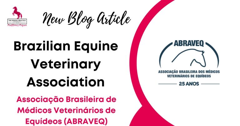 Brazilian Equine Veterinary Association (ABRAVEQ)