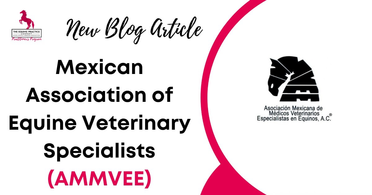 Mexican Association of Equine Veterinary Specialists