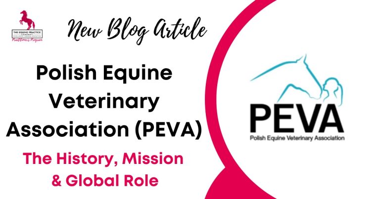 Polish Equine Veterinary Association