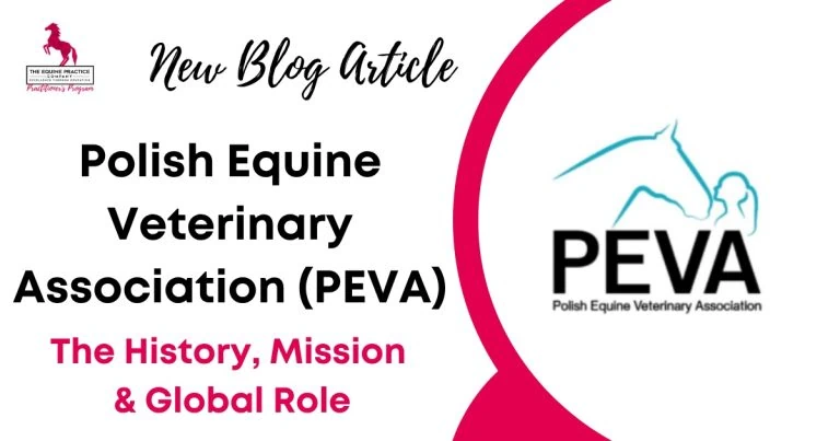 Polish Equine Veterinary Association
