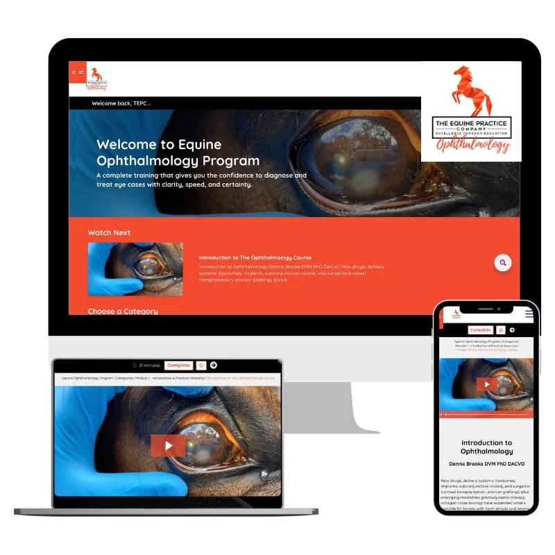 Equine Ophthalmology Program